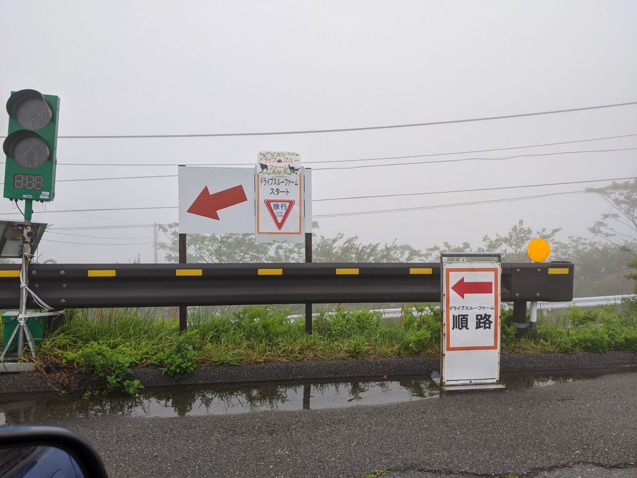 ダイとナナの幸せな日々