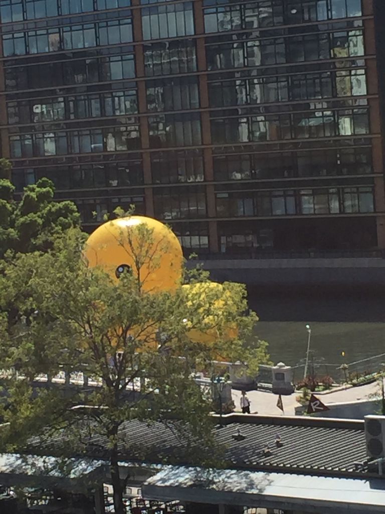 超絶カワユス 超巨大ヒヨコが中之島で橋に激突か よりみち萌えෆ トラック