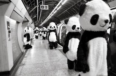 pandemia