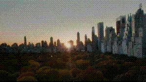 1233090229_43f9ef0-2