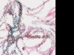 anigif luka1