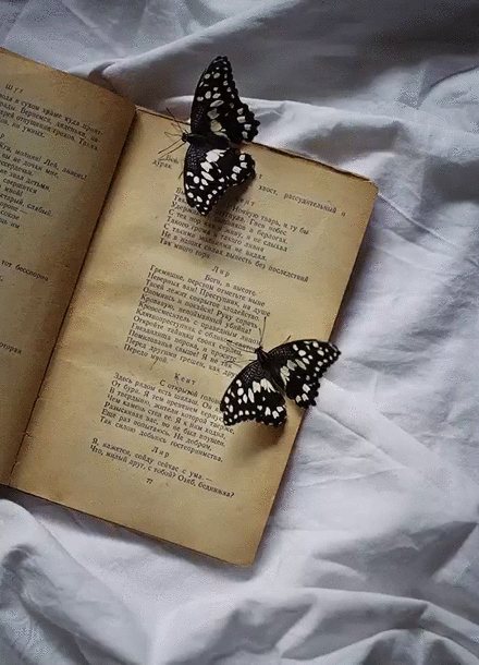 Siempre me han encantado las mariposas,