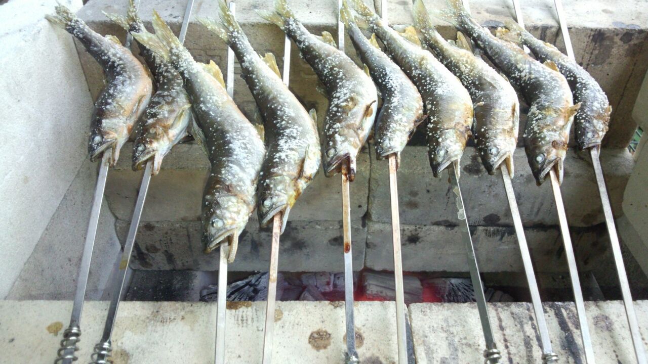 鮎の塩焼き2014 : Viewpoint of the angler side 鮎の塩焼き2014 : Viewpoint of the angler side