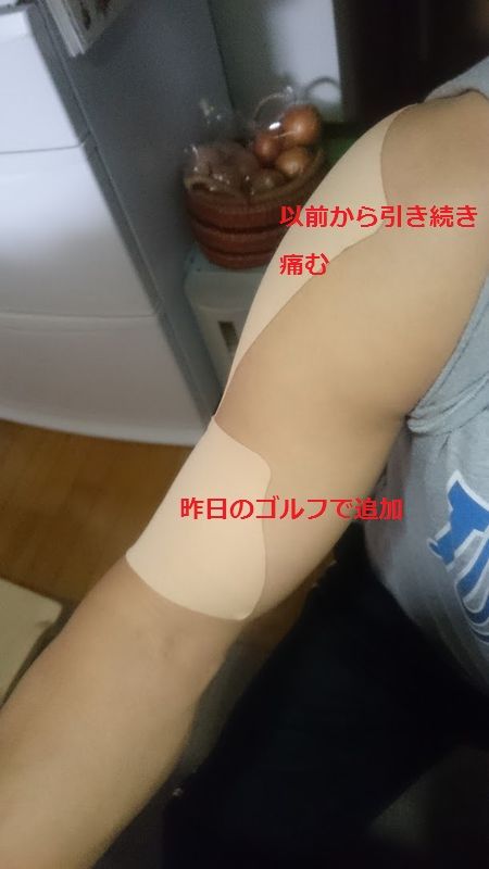 肩甲骨のストレッチ 41才からゴルフ始める事になってしまったブログ 肩甲骨のストレッチ 41才からゴルフ始める事になってしまったブログ