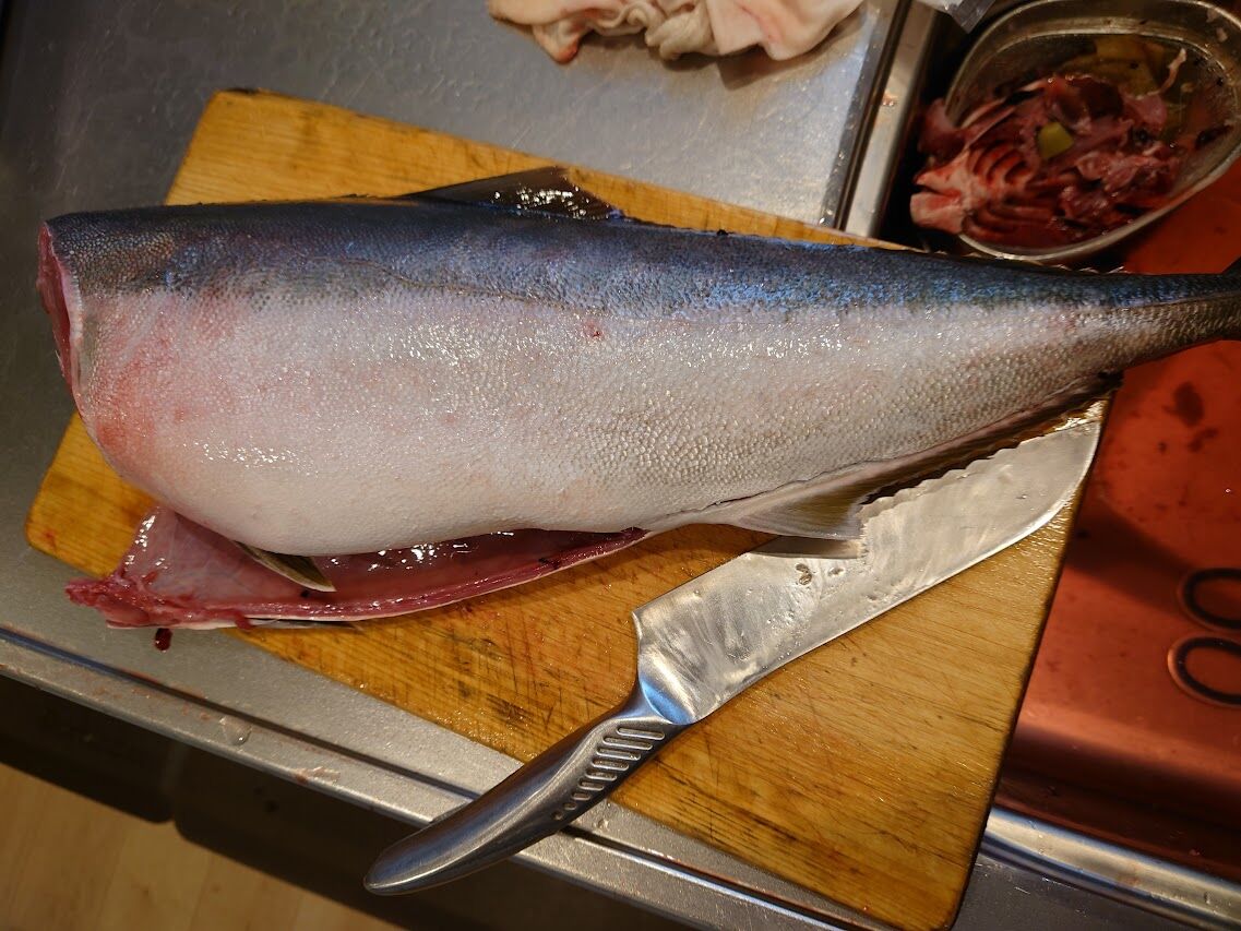 ブリの解体とカマスの一夜干し Camp Swamp