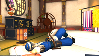 ffxiv_20180222_181819
