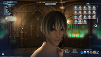 ffxiv_20180130_211533