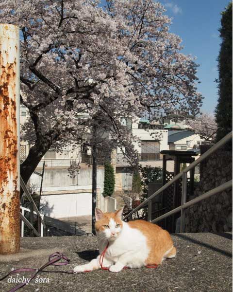 1204ちぃ