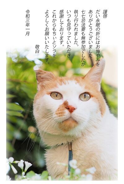 だいちゃん忌明けあいさつ blog(big)