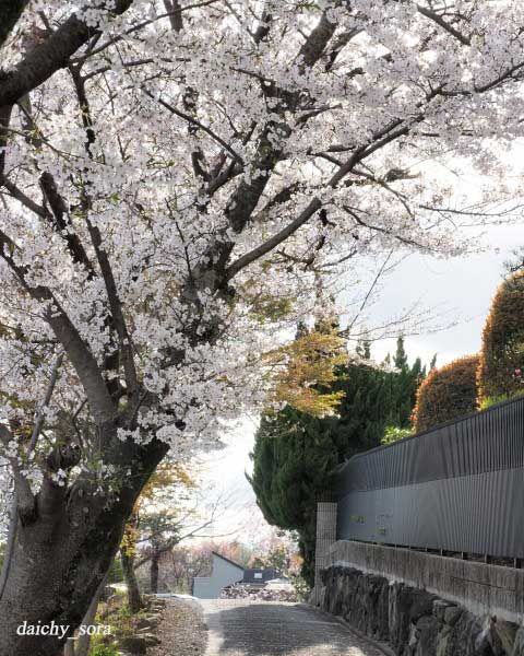 別院