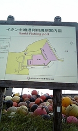 10b1ce8a.jpg