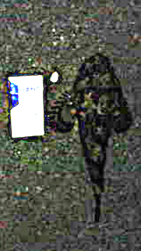 2009/9/30 ���̷�ͺ��Į���ڵ����������������