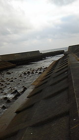 2009/12/11 白老別々川河口