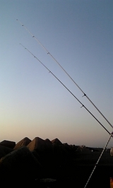2009/11/6 夕方の釣り風景
