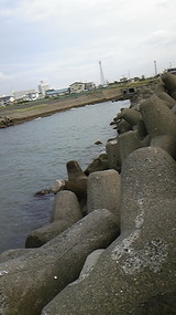 1a53b20f.jpg