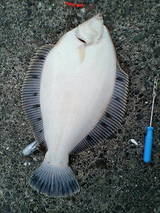 ���������� �Ѿ��� ���ᥪ�䥸 ���