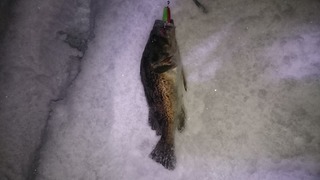 2019/12/22 ��������������