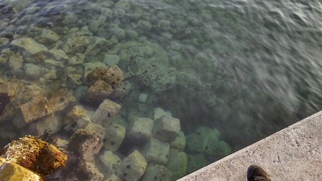 日本海 神恵内 漁港 岩礁帯 海底