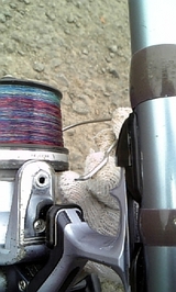 �꡼����» ��� 2008