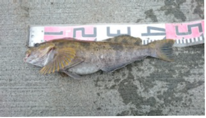 2019/6/21 ���֥饳