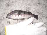 CIMG2308