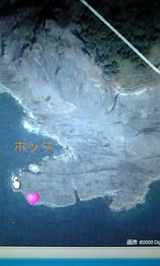 2008������ߴ��ιҶ�����