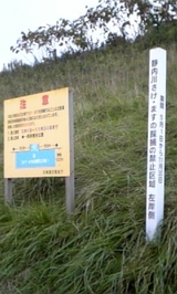 2b412ab7.jpg