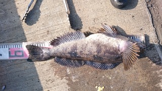 2019/6/20 ¥¢¥Ö¥é¥³52£ã£í ÆÑ¾®ËÒ