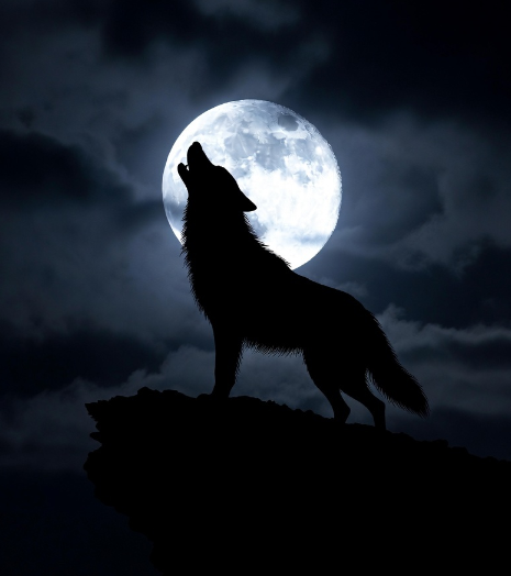 ���ξ����α��ʤ����륨�å�