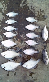 2cbbfc07.jpg