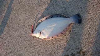 2020/6/3 ����������28���