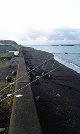 39407d17.jpg