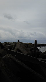 3ffc7269.jpg