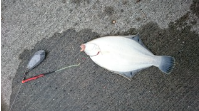 2019/6/21 ����������2ɤ��