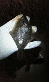 540ff644.jpg