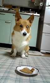 ���ʥ��쥤�μ��� �� �Ԥ� ������