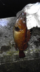 58efad18.jpg