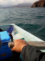 2007 ��î�ǤϤ���Ƽ��椮�ܡ��Ȥ��椤��