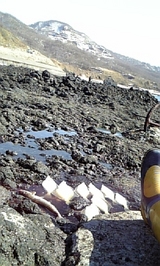 2008/3/12 ����γ�����ߴ��