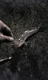682c54c2.jpg