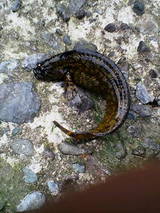 2007/5/29 �Ѿ��ҹ� ��饺��