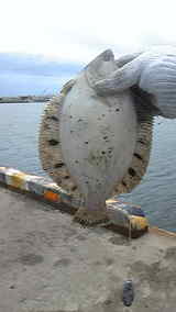 6bdc07ba.jpg