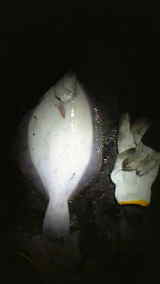 ����������ȥ����ϥ� 2010/5/22