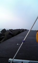 6f808063.jpg