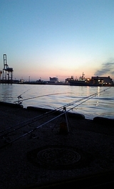 706d742c.jpg