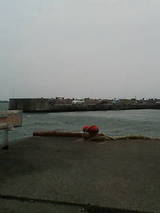 2007/5/17 �Ѿ����������������������