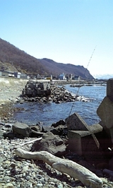 7591c3f9.jpg