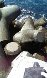 78d397fe.jpg