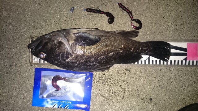 7月15日 苫小牧 朝 クロゾイ35cm ダイソーワームで釣れた ダメオヤジ釣り日記かもねー うふふ 7月15日 苫小牧 朝 クロゾイ35cm ダイソーワームで釣れた ダメオヤジ釣り日記かもねー うふふ