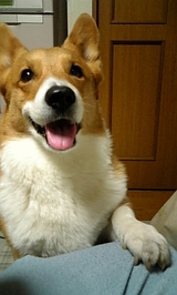 �д� ������ ���� �ۥå����¥